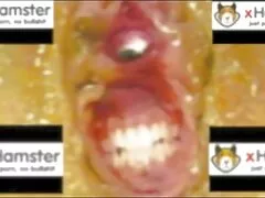 یک عکس کانال سکس پسر لعنتی tranny. چگونه!
