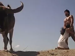 ترک دختر روسی را فریاد کانال فیلم تلگرام سکس می زند